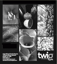 Twig Flowers 1072506 Image 9
